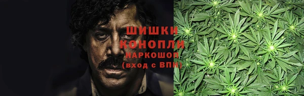 соль ск Кукмор