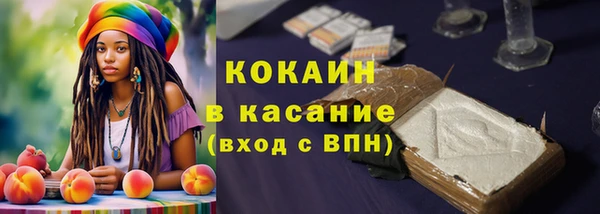 стафф Кулебаки