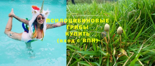 соль ск Кукмор