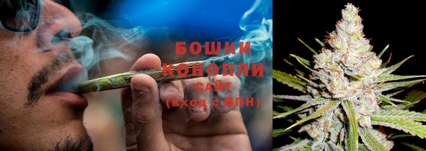 соль ск Кукмор