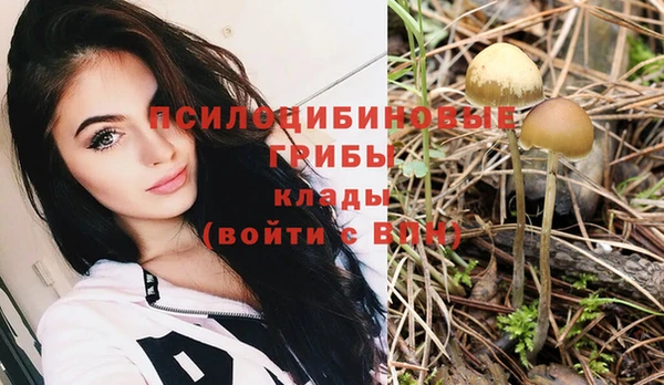 стафф Кулебаки