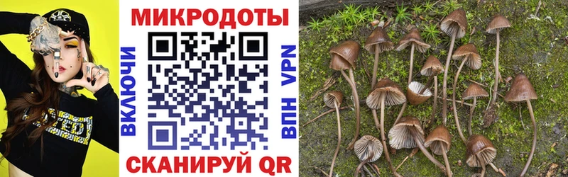 Галлюциногенные грибы Psilocybe  цена наркотик  Чулым 